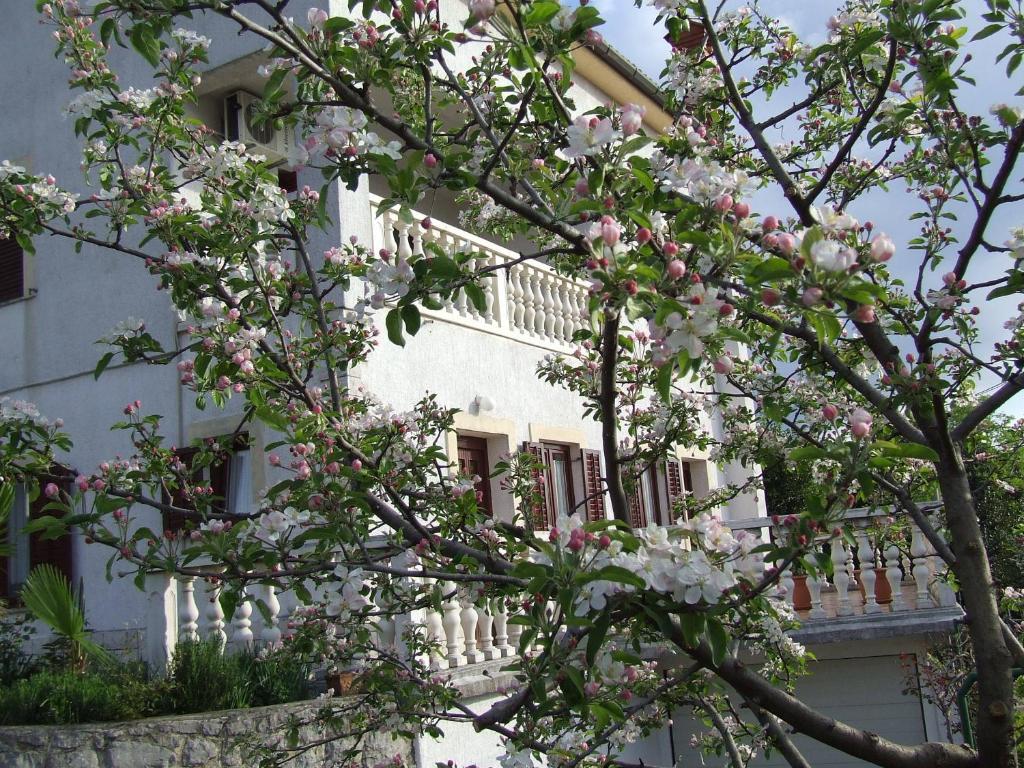 Andreja Apartmán Opatija